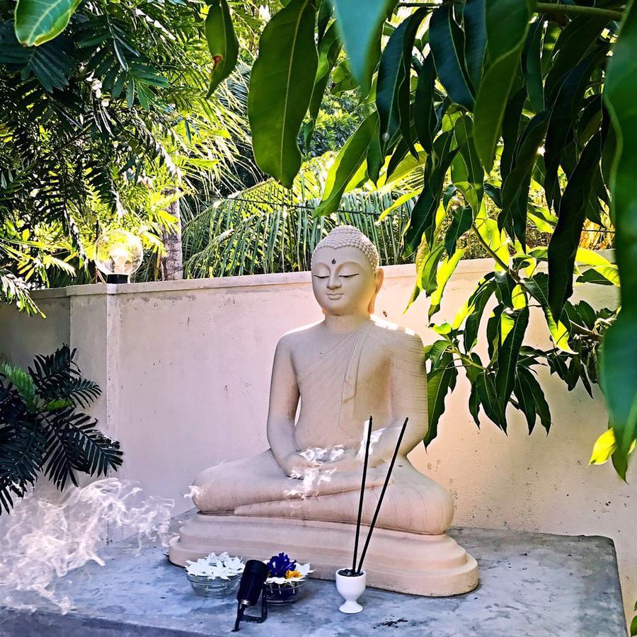 W Villa@Yala 蒂瑟默哈拉默 外观 照片