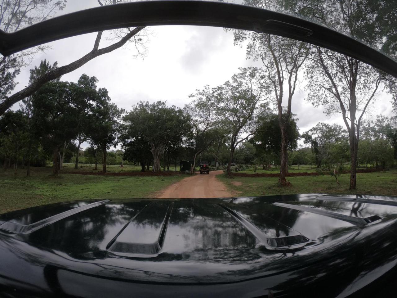 W Villa@Yala 蒂瑟默哈拉默 外观 照片